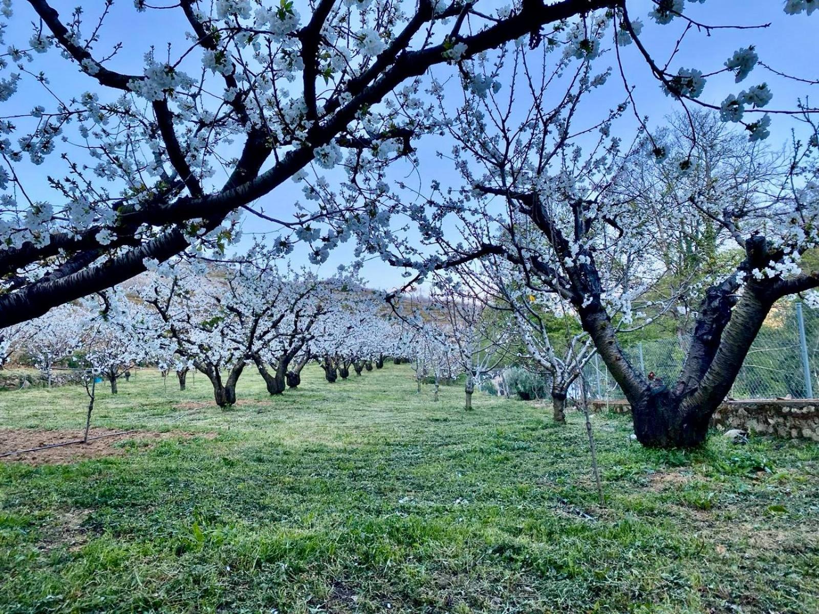 Casa Rural Valle Secreto Torremocha ภายนอก รูปภาพ